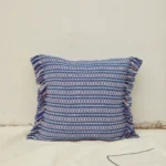 Blue Fringe Cushion